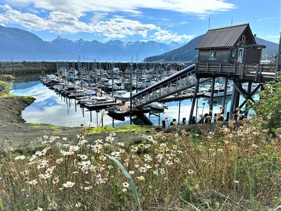 Small Boat Harbor