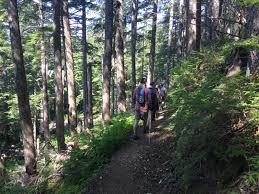 Mount Riley Trail