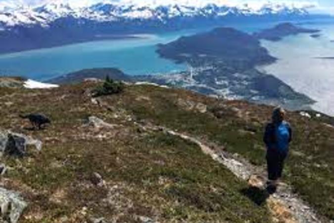 Mount Ripinsky Trail